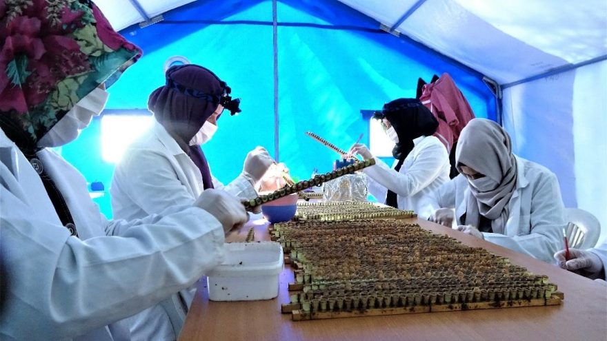 Bağışıklığını kuvvetlendirmek isteyenler kilosu 7 bin lira olan bu sütü tercih ediyor