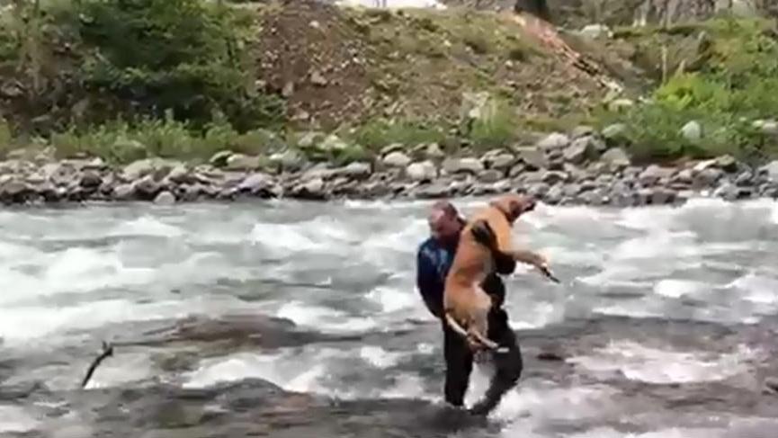 Fırtına Deresi’nde mahsur kalan köpek kurtarıldı