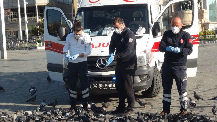 Sağlık çalışanları Taksim’deki kuşları besledi