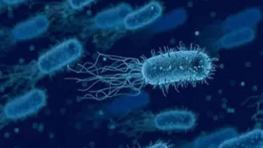 Toksik şok sendromu nedir? Toksik şok sendromu neden olur?