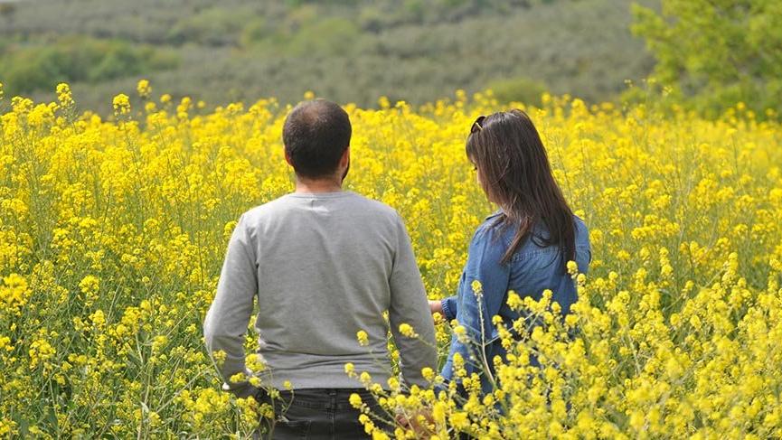 Kanola tarlaları, doğal fotoğraf stüdyosu oldu