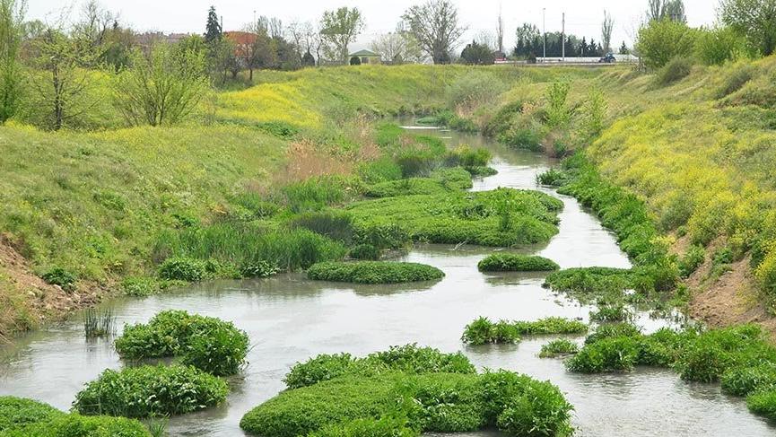 İnsanlar çekildi doğa kendine geldi