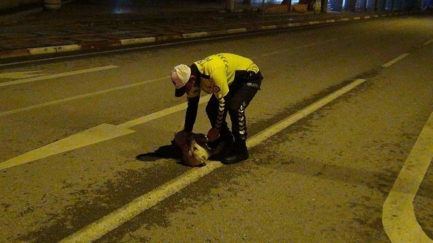 Polis memuruyla köpeğin gülümseten görüntüleri