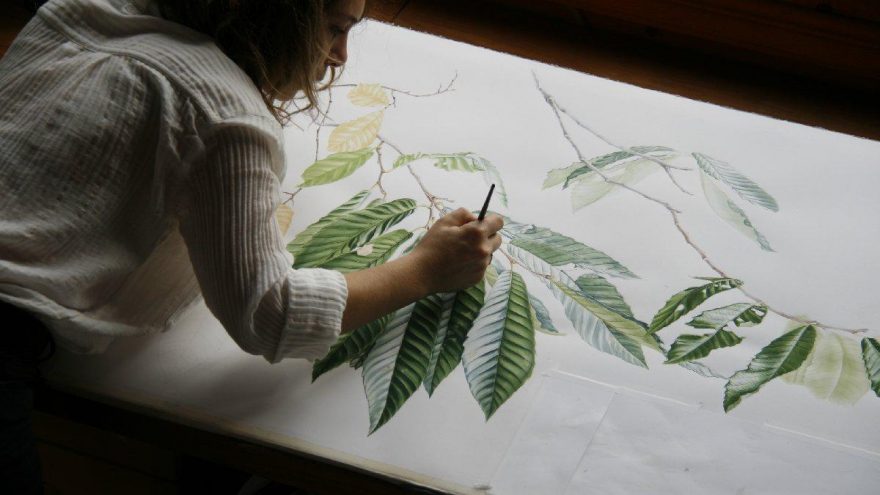 Yapı Kredi Kültür Sanat’ın online etkinlikleri sürüyor