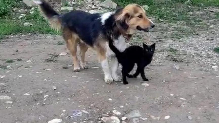 ‘Bıdık’ ile ‘Karam’ birbirinden ayrılmıyor