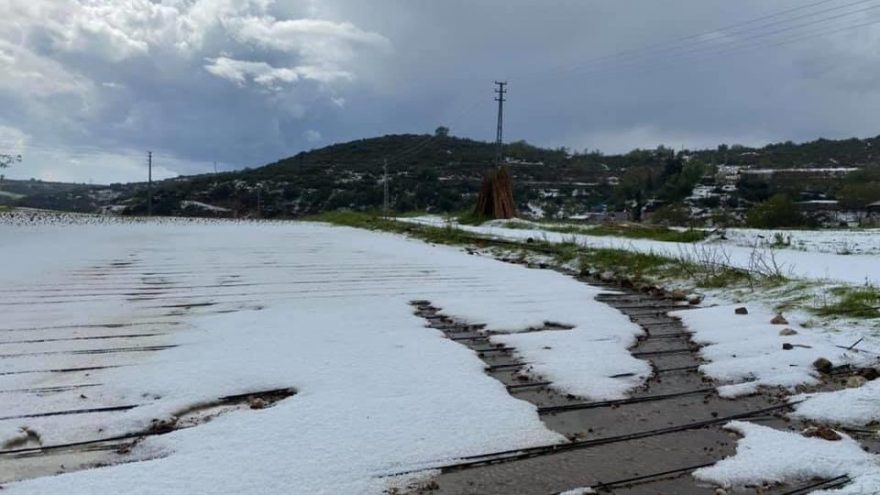 MHP’li Kılavuz: Bakanlık doludan zarar gören çiftçimiz için harekete geçmeli