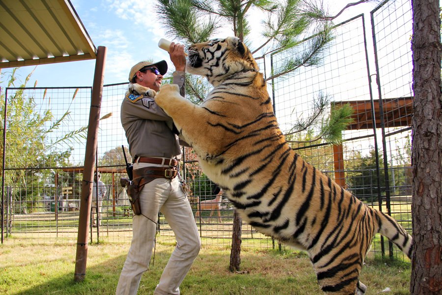 Nicolas Cage Tiger King Dizisinde Joe Exotic I Canlandiracak Kultur Sanat Haberleri