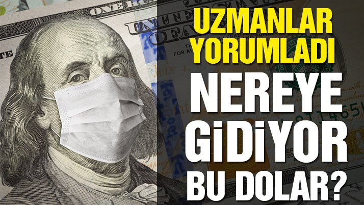 Dolar nereye gidiyor?