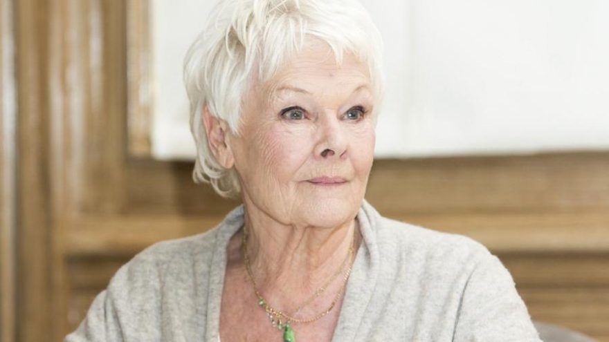 Judi Dench en yaşlı kapak yıldızı oldu, tarihe adını yazdırdı