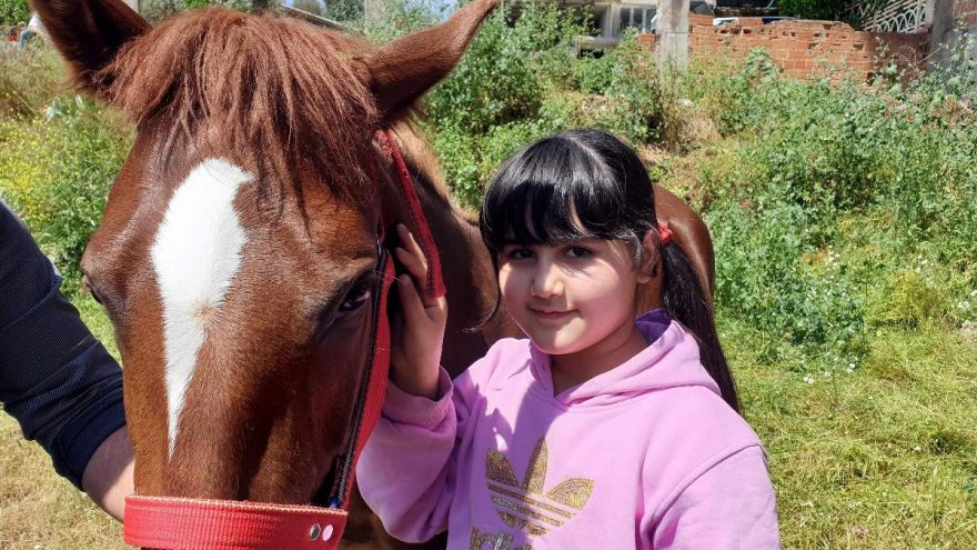 Alnında kuş figürü bulunan at ilgi odağı oldu