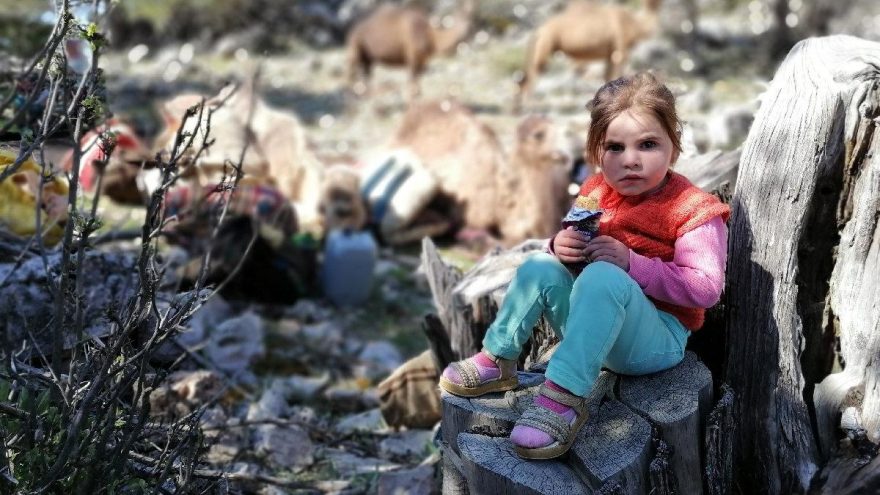 Yörüklerin 20 gün sürecek yaz göçü başladı