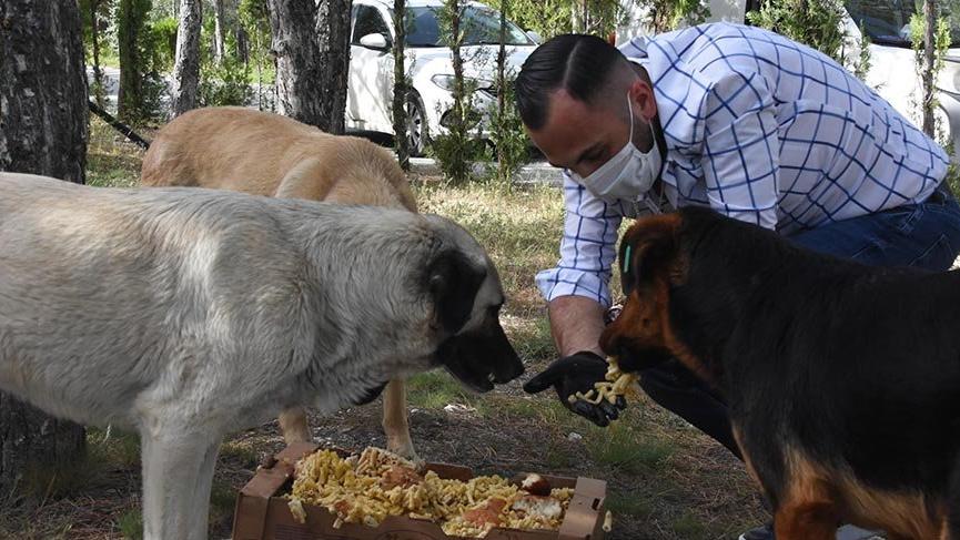 Hayvanseverler, aç kalan sokak hayvanlarını besledi