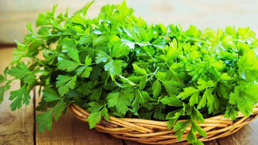 Maydanozun içinde hangi vitaminler var? Maydonozun faydaları…