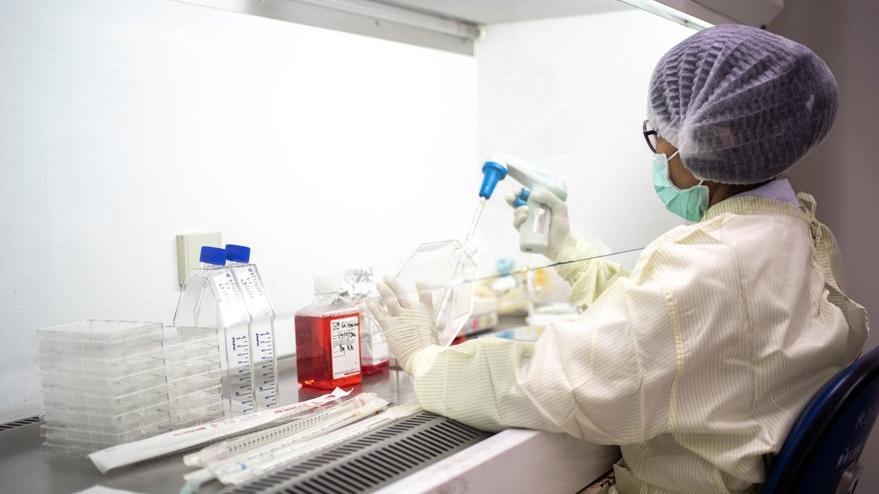 Corona vir�s� ilac� i�in g�n�ll�ler aran�yor