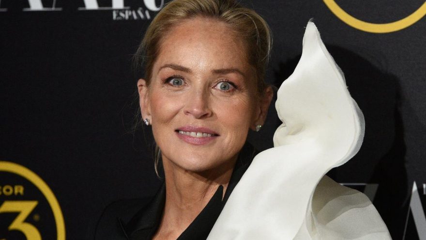 Sharon Stone’dan protestoculara uyarı: İç savaşa ihtiyacımız yok