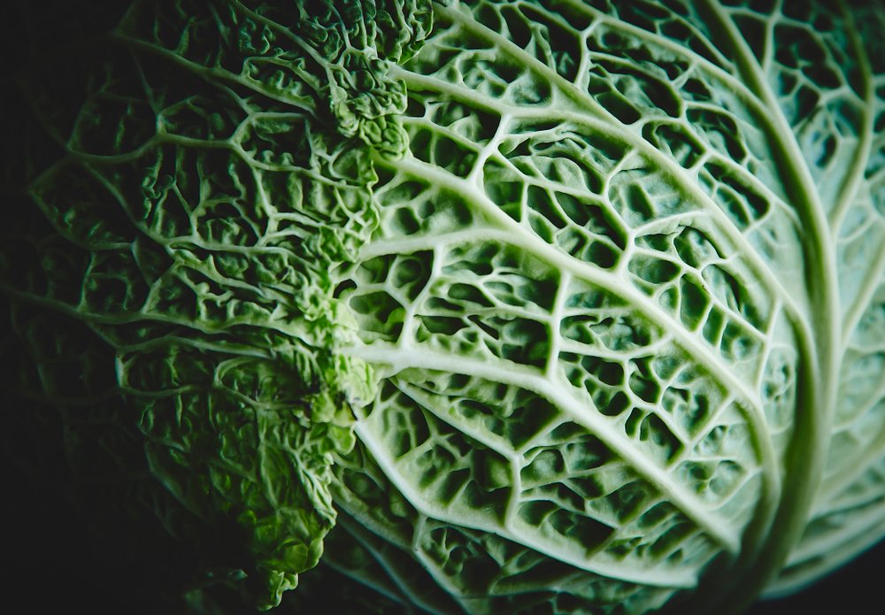 Kale: Kale, bir lahana türüdür. Son yıllarda bilinirliği oldukça artmıştır. Kanserle savaşan antioksidanlar ve vitaminler sağladığı bilinmektedir. Bu sebzeler mükemmel bir beta-karoten kaynağıdır ve hem lutein hem de zeaksantin içerir. Araştırmalar, bir fincan lahanada toplam 23.8 mg lutein ve zeaksantin olduğunu göstermektedir.