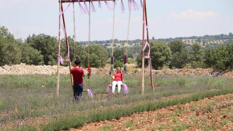Denizli lavanta bahçeleriyle cazibe merkezi olmayı hedefliyor