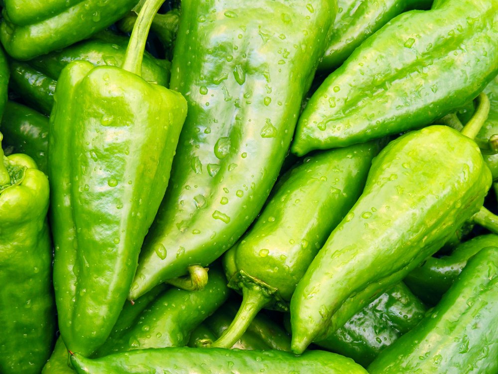 Aynı zamanda C vitamini içeriği yüksek olduğundan vücudun bağışıklık sistemini de dengeliyor. Bağışıklık sistemine yardım ediyor ve özellikle soğuk kış aylarında grip, nezle gibi hastalıkların başlangıcında iyileştirici özelliğe sahiptir. Samandağ biberi aynı zamanda damarlarda pıhtılaşmış kanı çözüyor, ağrıyı gideriyor" dedi.