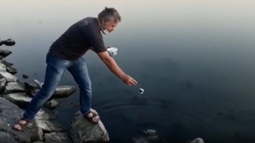 Balık ölümlerini göle maya çalarak protesto etti!
