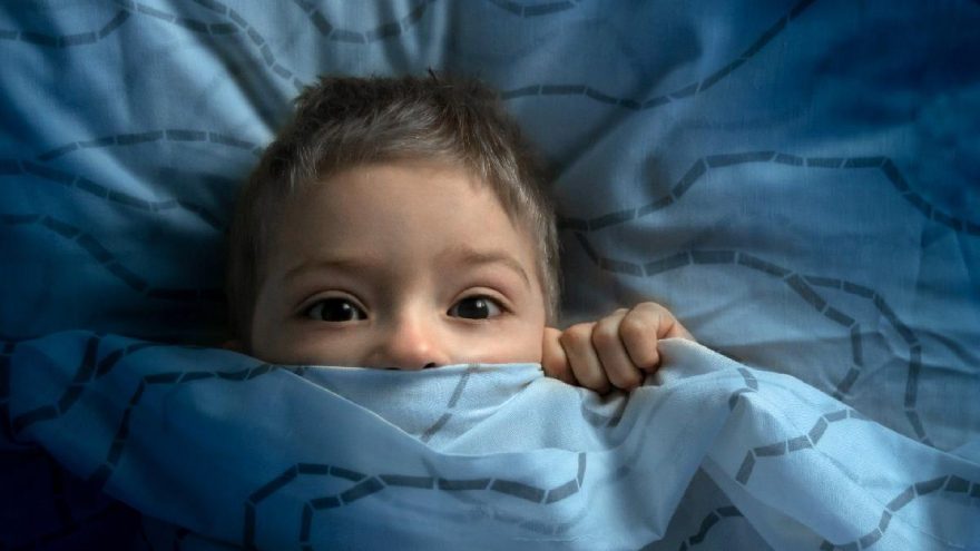 Mavi Bebek Oyunu Nedir Mavi Bebek Etkisine Nasil Aliyor Guncel Haberler