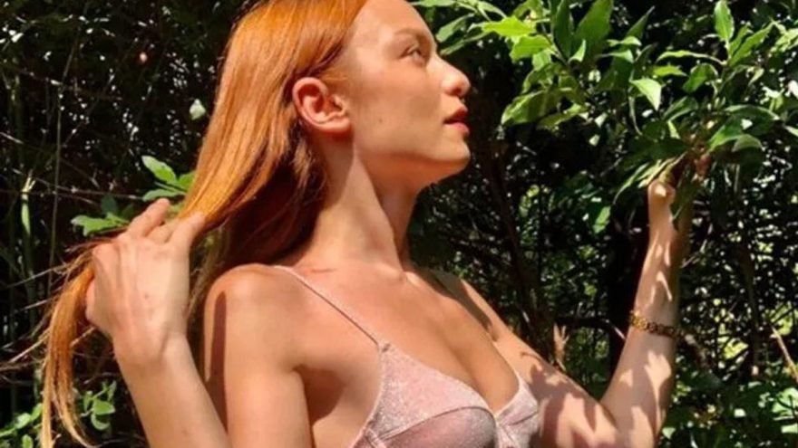 Nilperi Şahinkaya: Bu bir aşk şarkısı değil