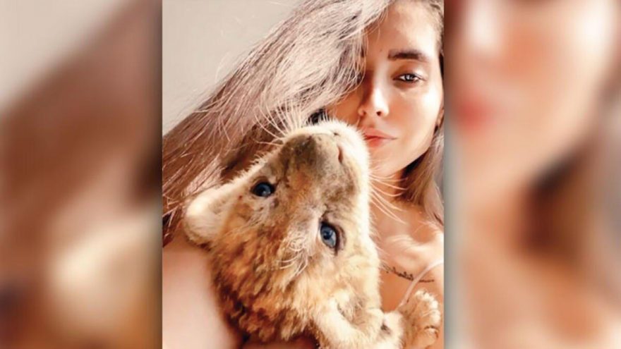 İranlı model Qazal Yadegari’nin rezidansta beslediği yavru aslan ve piton yılanı koruma altına alındı