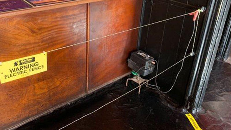 Britanya’daki bir bar sosyal mesafeyi korumak için elektrikli tel çekti