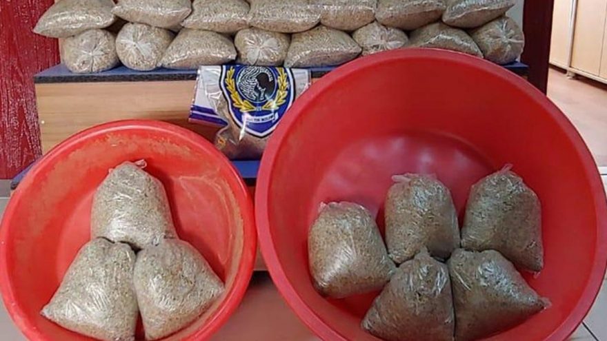 Eve baskın… 15 kilo bonzai ele geçirildi