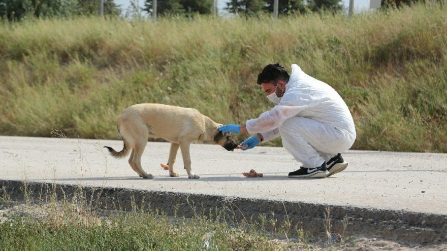 Odunpazarı sıcak yaz günlerinde sokaktaki dostları unutmuyor