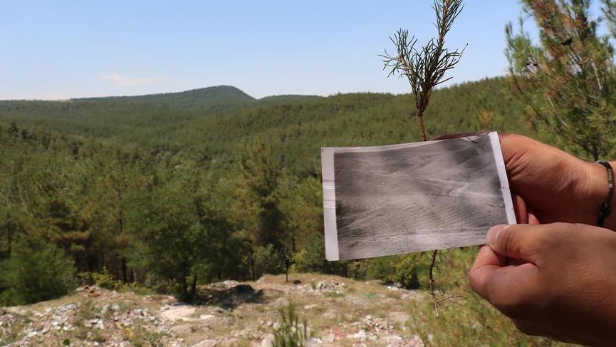 Çorak arazi 40 yılda ormana dönüştürüldü