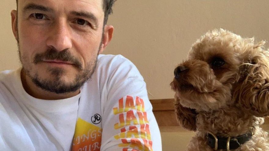 Orlando Bloom ve Katy Perry’nin kayıp köpeği hayatını kaybetti