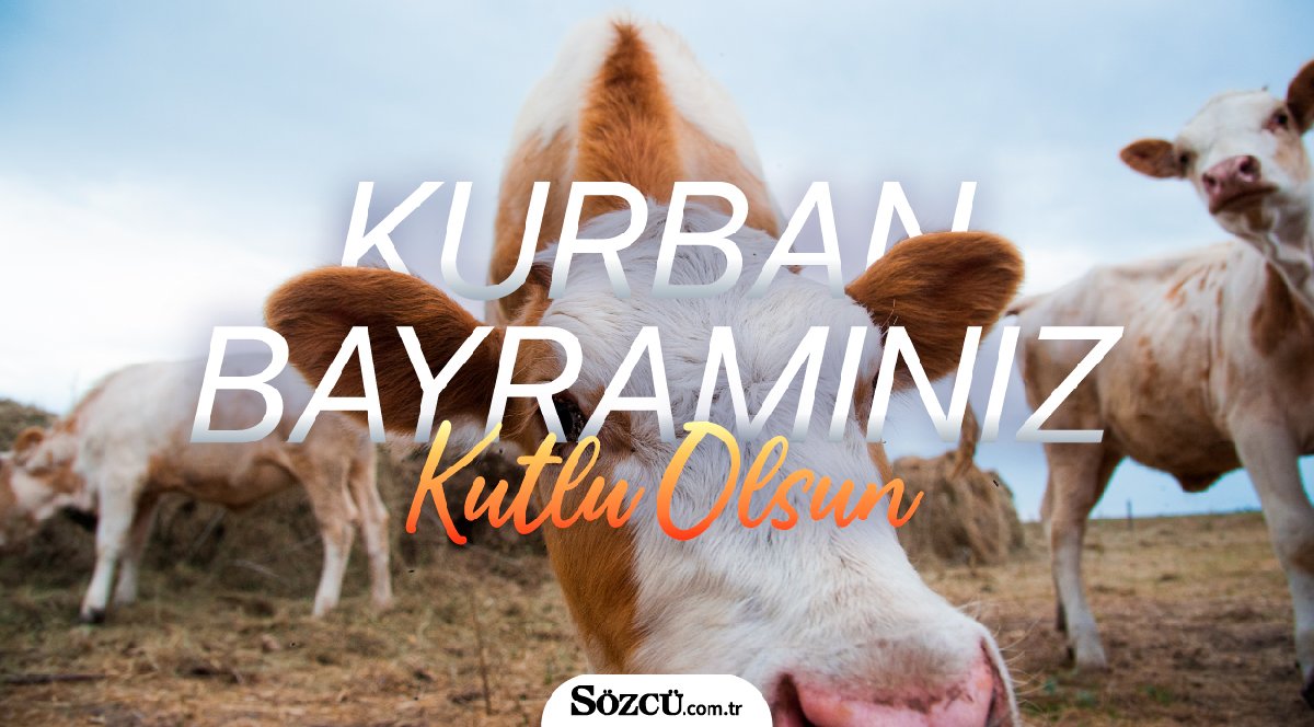 * "Birlikte geçen mutlu günlere özlem duyduğumuz bu bayramı en güzel şekilde geçirmeniz dileğiyle. Mutlu bayramlar..."