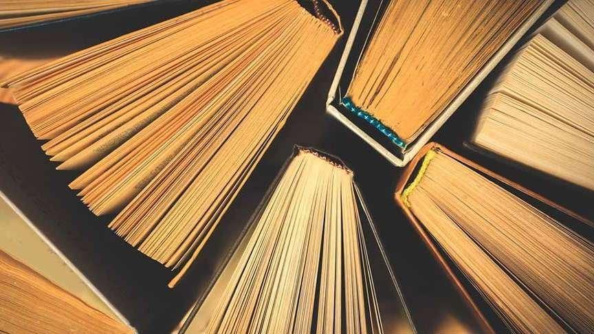 Pofuduk koyun, cebinde cesaret ve yaşama sevinci taşıyordu Pofuduk koyun, cebinde cesaret ve yaşama sevinci taşıyordu