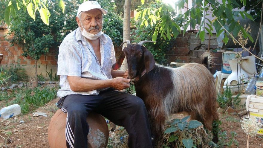 Yalnızlıktan sıkılınca sahiplendiği keçiyle dost oldu