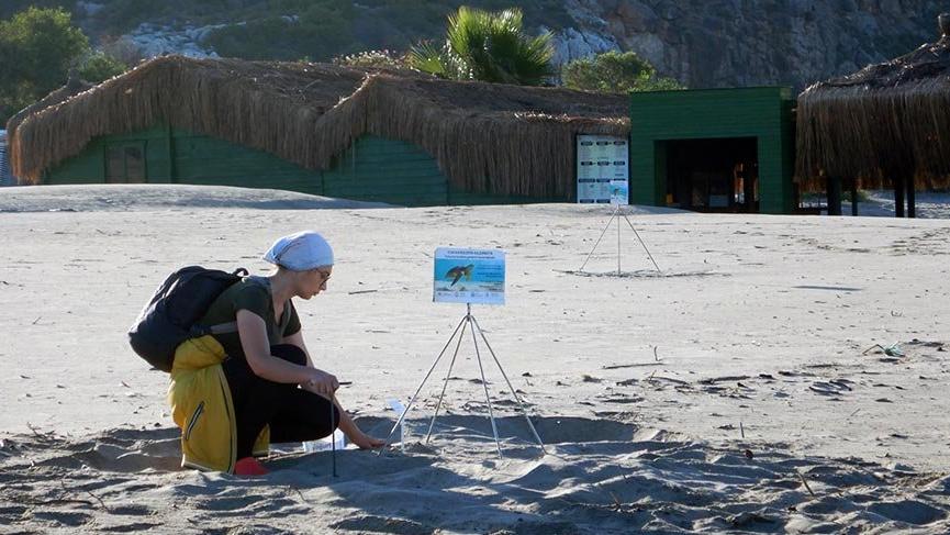 Patara Plajı’nda, caretta caretta yuva rekoru