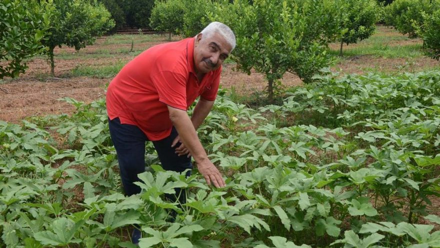 Castro, Özal için devrimci diyordu