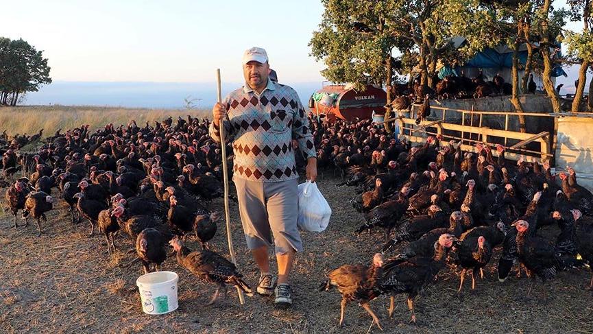 Hindiler, sahibinin komutuyla uçuyor