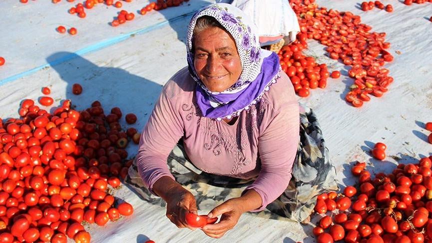 İtalya’nın pizzasına, ABD’nin hamburgerine Torbalı domatesi