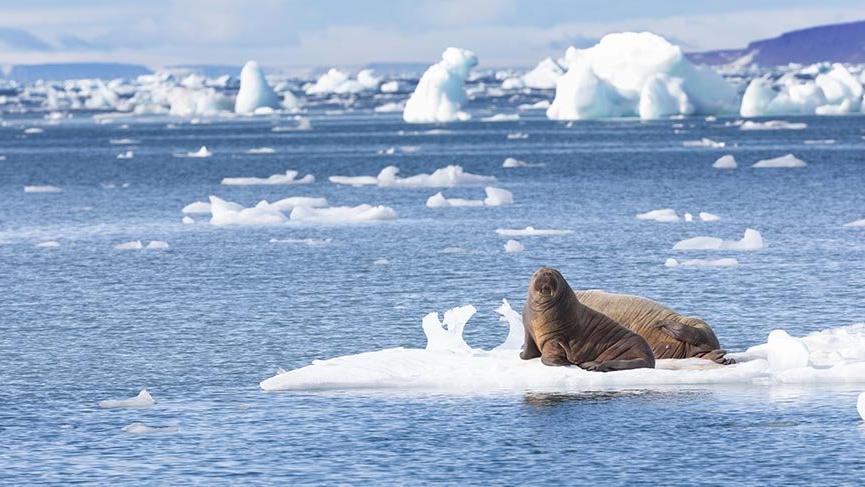 Dünyanın ‘idari merkezli’ en ucu: Svalbard