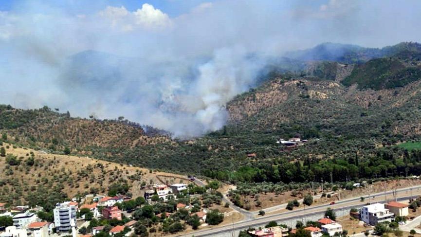 Milas Ta Orman Ve Zeytin Tarlalari Yaniyor Son Dakika Haberleri