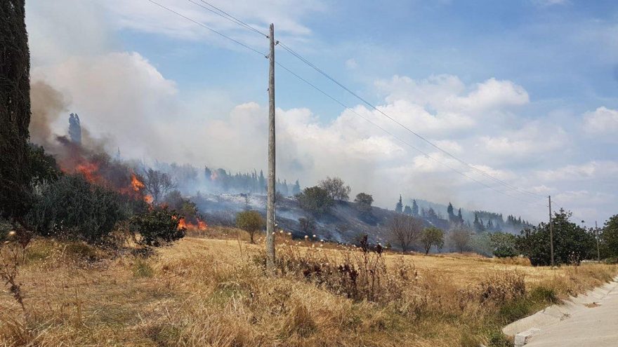 Çanakkale’de orman yangını