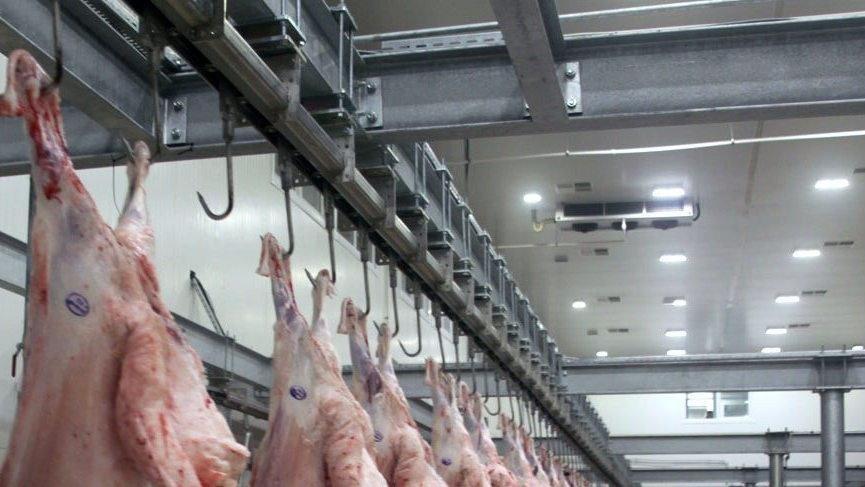 Şarbon paniği… Ekipler harekete geçti