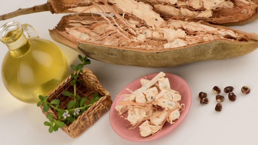 Baobab yağı faydaları nelerdir? Baobab yağı neye iyi geliyor?