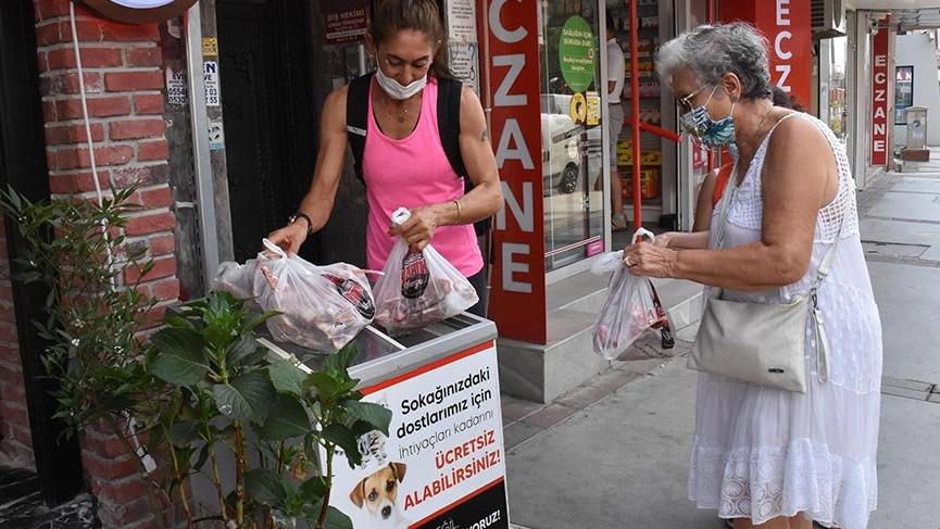 Kasaptan sokak hayvanları için örnek uygulama