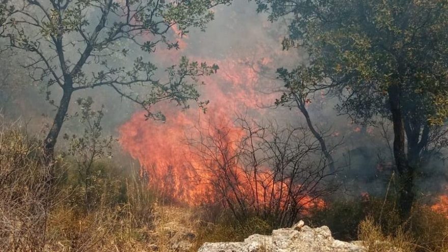 Çanakkale’de tarihi ören yerinde yangın