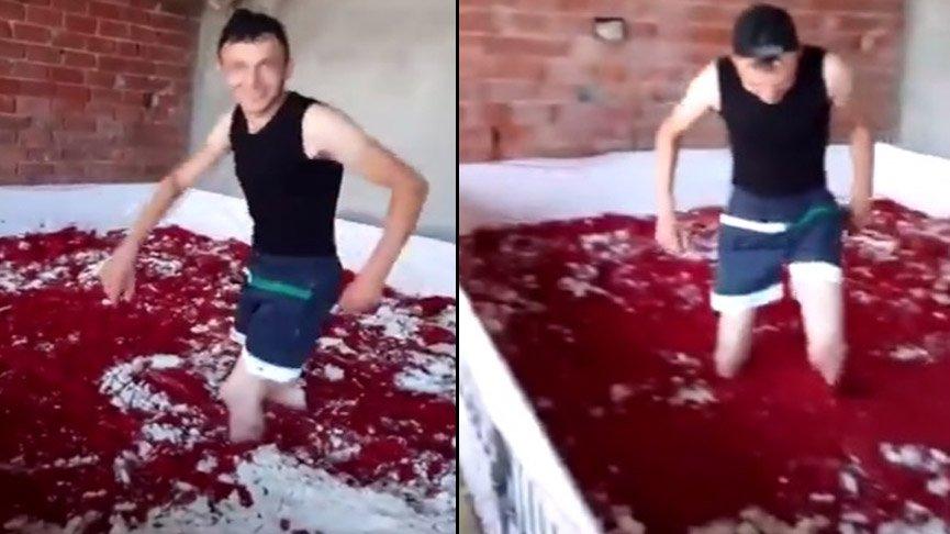 Images of scandal at the tomato paste production plant