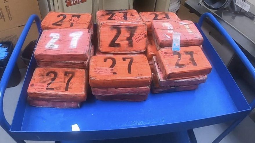 Sahilde güneşlenenler buldu! Piyasa değeri 7 milyon TL