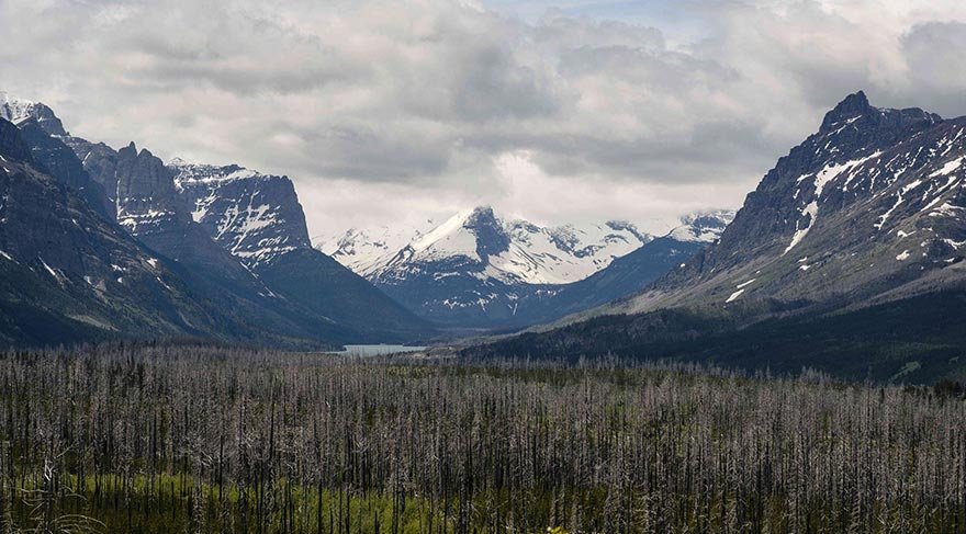ABD'nin Montana eyaletinden Kanada'ya uzanan 41 bin kilometrekarelik Glacier Milli Parkı, bakir, insan eli girip bozulmamış çevre sistemiyle dikkat çekici bir doğal alan.