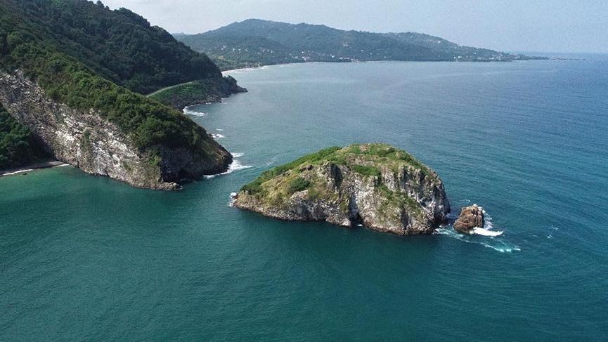Ordu’nun kuş cenneti: Hoynat Adası