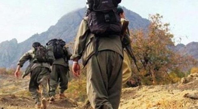İçişleri Bakanlığı: 2 örgüt mensubu güvenlik güçlerine teslim oldu!